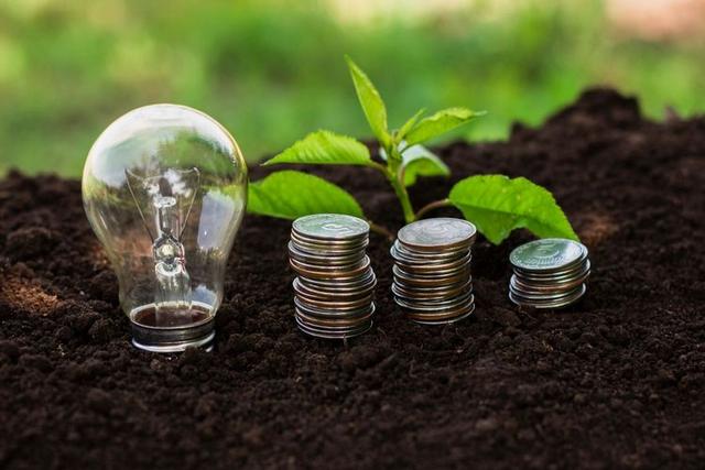 Incorporating ESG Factors in Sustainable Investing